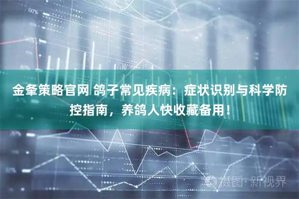 金夆策略官网 鸽子常见疾病：症状识别与科学防控指南，养鸽人快收藏备用！