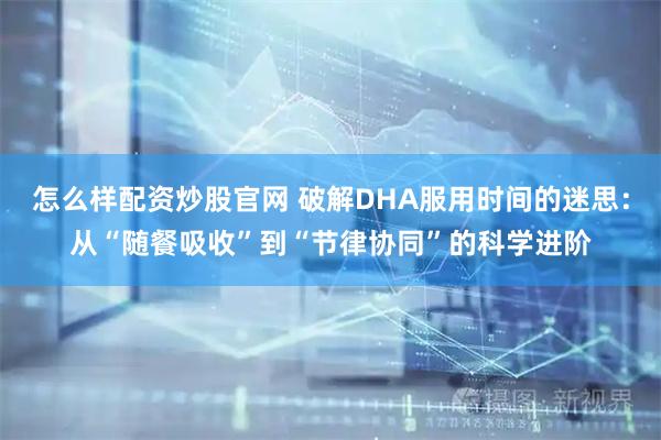 怎么样配资炒股官网 破解DHA服用时间的迷思：从“随餐吸收”到“节律协同”的科学进阶